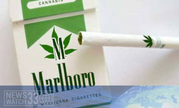 Phillip Morris To Release Marlboro M Marijuana Cigarettes